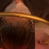 Image 2: Head Spa for Scalp Detox, Mind Rejuvenation & Couples Relaxation