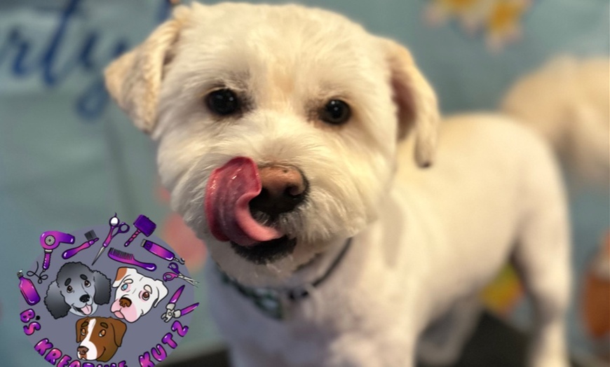 Image 7: Full Grooming Package: X-Small, Small, Medium, Large or X-Large Dogs