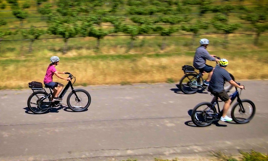 Image 1: Enjoy Full-Day eBike Rental for One or Two Persons