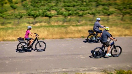 Full-Day eBike Rental for One Person - Napa Velo