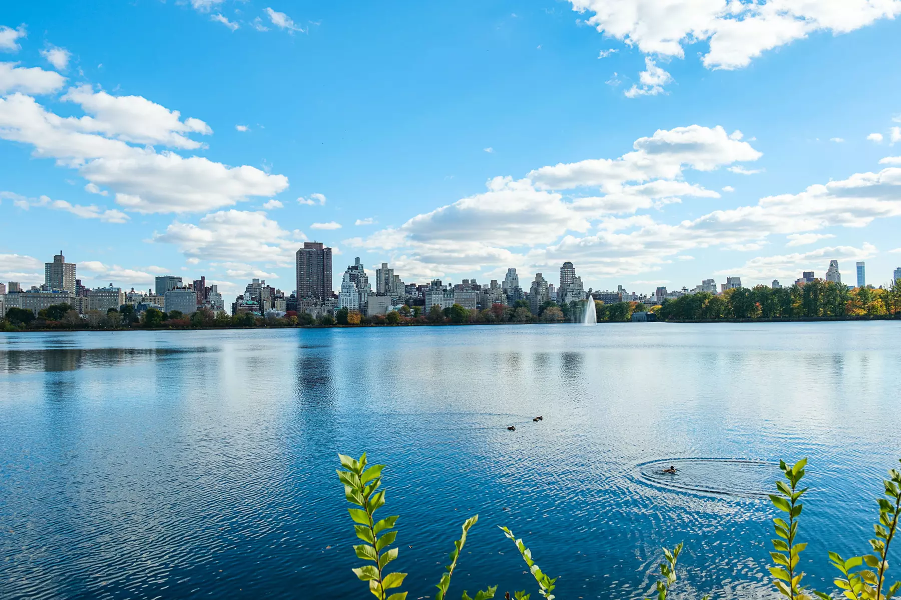 Pedicab Tours: Central Park's Iconic Landmarks