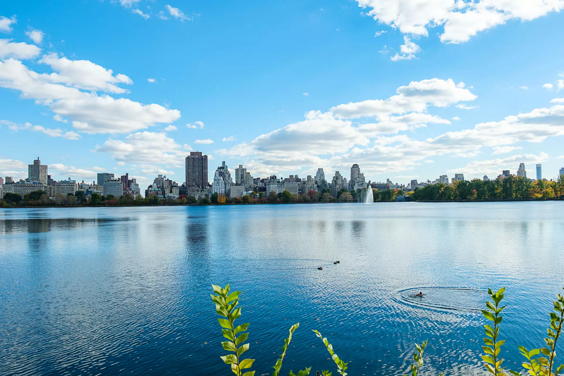 Up to 54% Off on Experience NYC's Central Park Pedicab Tours
