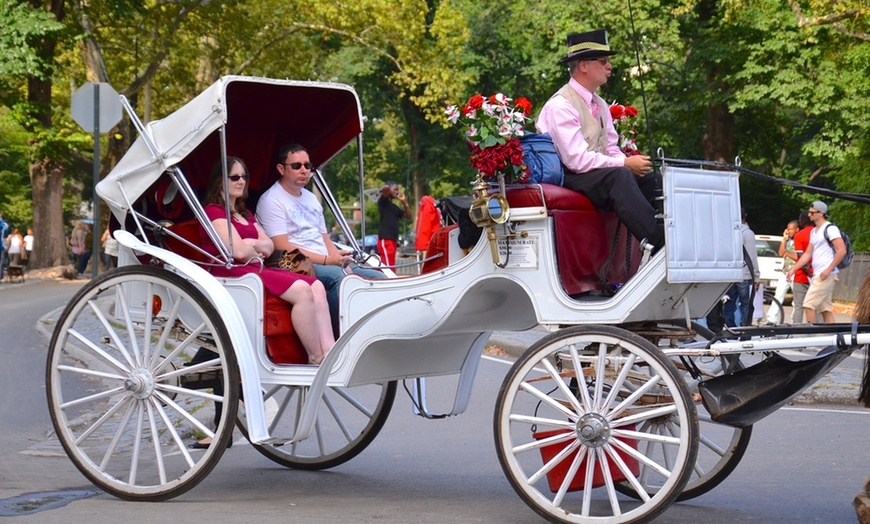 Image 3: Discover NYC Fancy Rides' enchanting 45-minute Central Park horse carriage tour, offering up to 24% off for a nostalgic journey.
