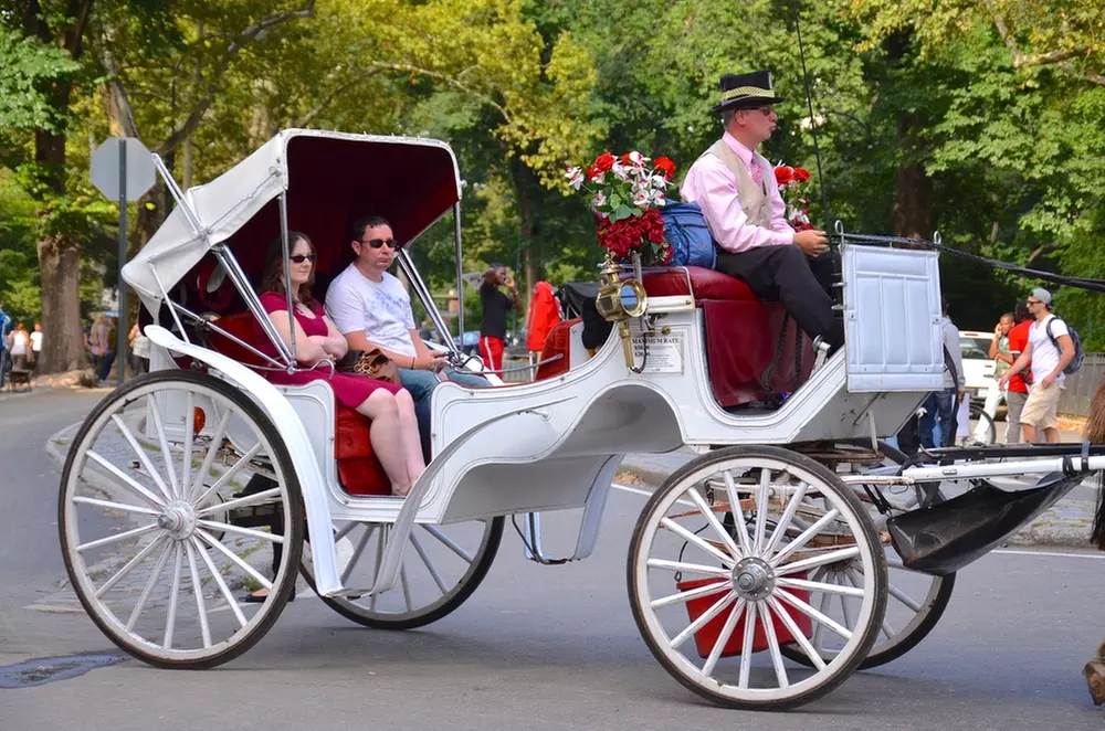 Discover NYC Fancy Rides' enchanting 45-minute Central Park horse carriage tour, offering up to 24% off for a nostalgic journey.