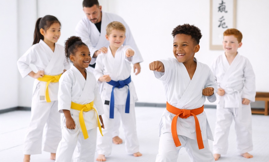 Image 4: Karate Classes for Kids & Adults - Seikou Karate USA