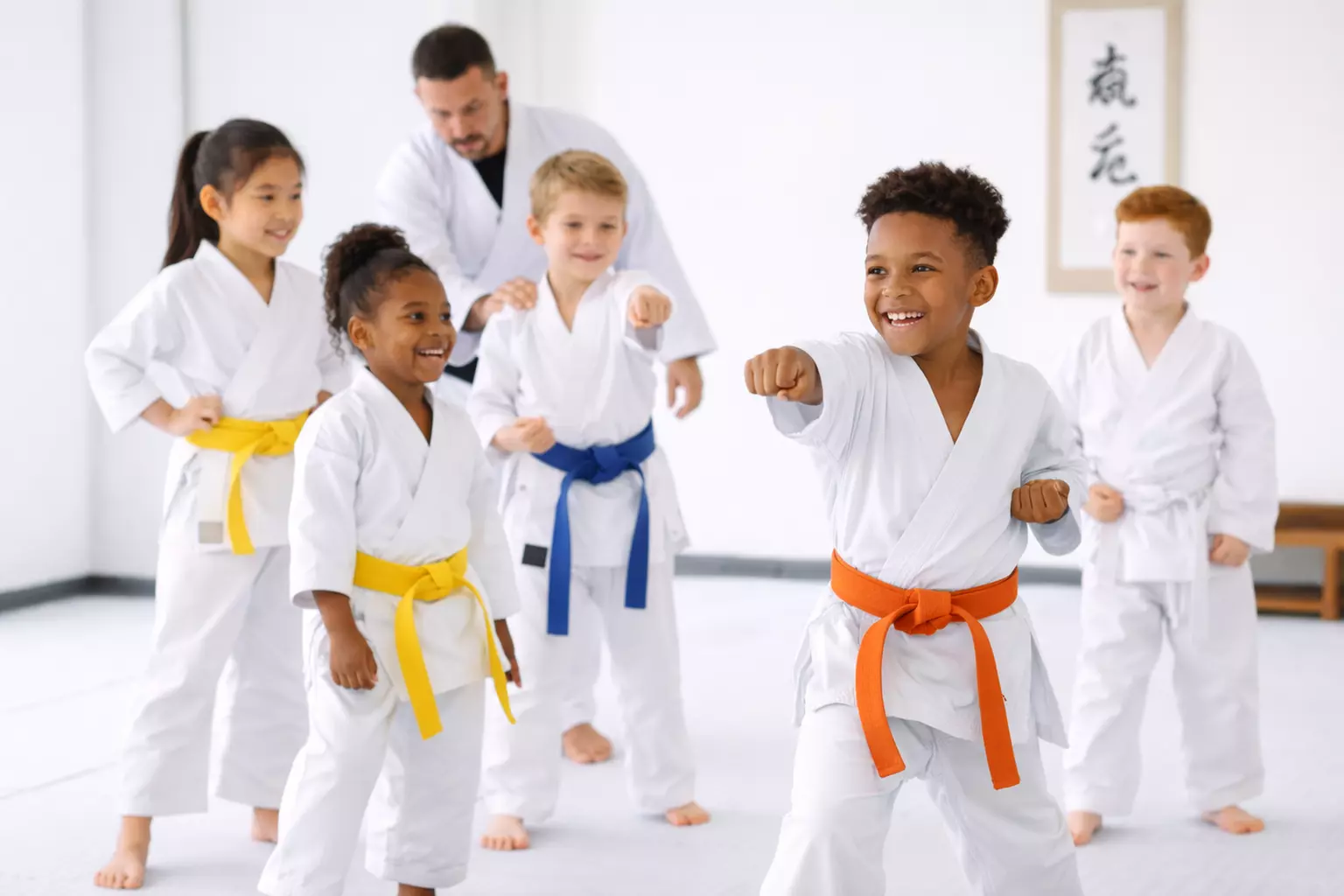 Karate Classes for Kids & Adults - Seikou Karate USA