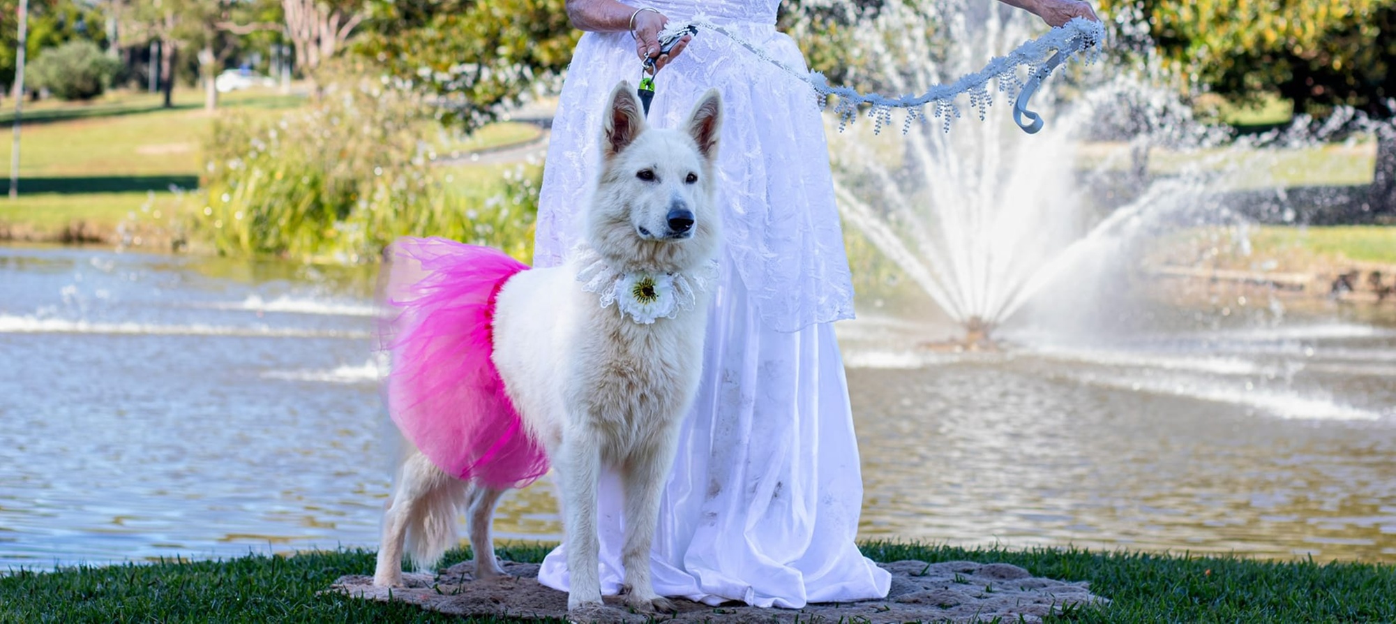 Make Beautiful Wedding Memories with Your Furry Friend - 1,2 or 3 Hrs