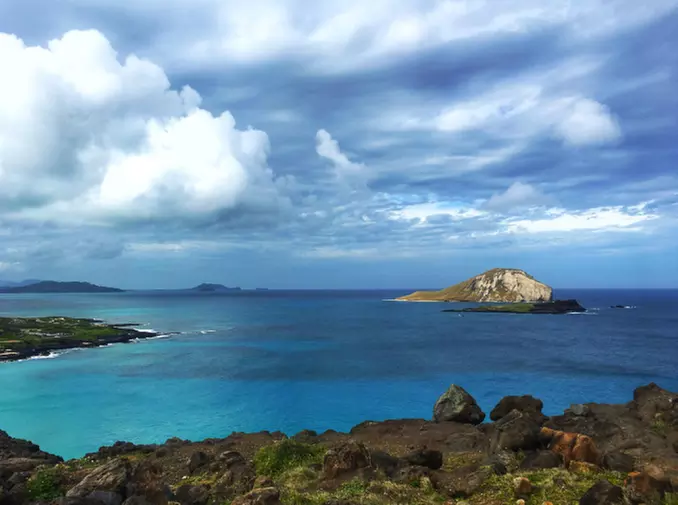 Up to 50% Off on Guided Tour at Hawaiian Circle Island Tours, LLC