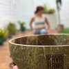 Image 4: Be Part of Vinyasa Yoga & Kava Ceremony at Santa Monica