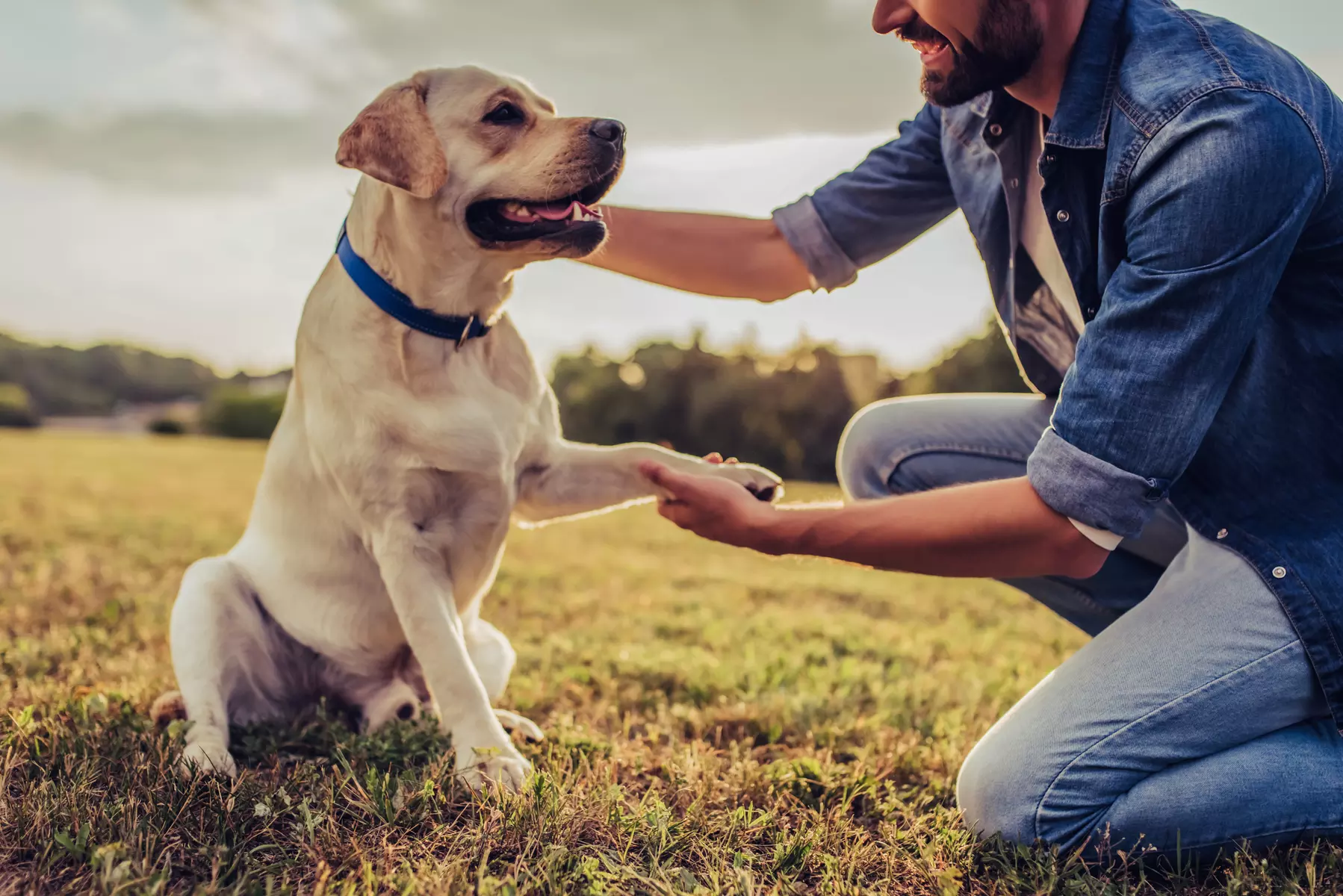 Bis zu 80% Rabatt auf Fotografie bei Rectoplay