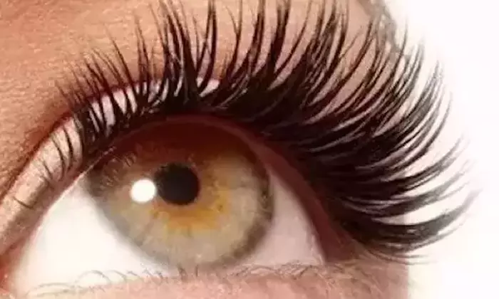 Up to 60% Off on Eyelash Extensions at Gloria Nails & Spa