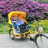 Image 7: Guided Central Park Tour in an Eco-Friendly Pedicab w/ Photo Stops