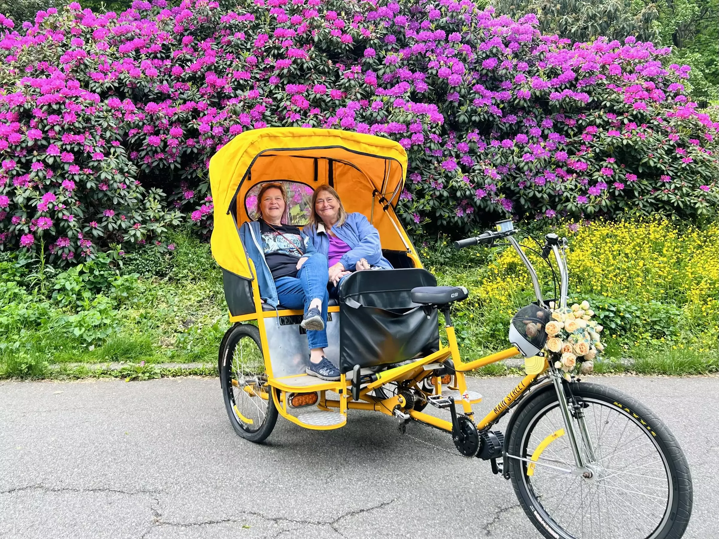 Guided Central Park Tour in an Eco-Friendly Pedicab w/ Photo Stops