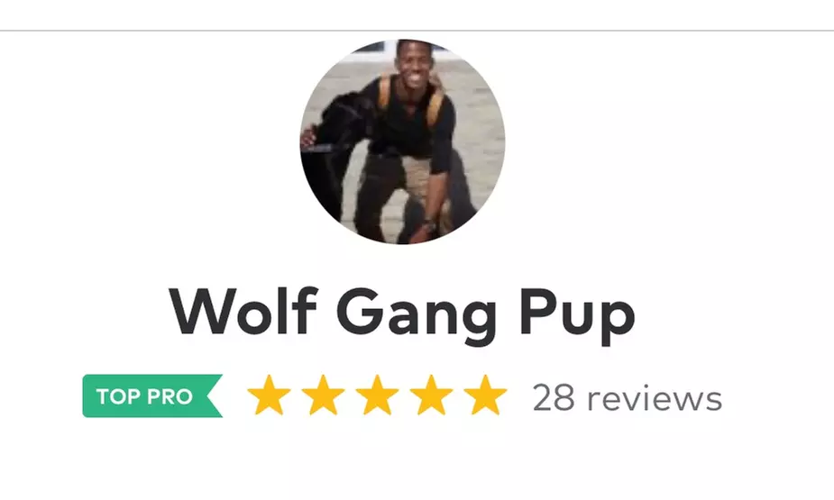 Up to 50% Off on Pet Sitter / Dog Walker at Wolf Gang Pup Training - Second Medium