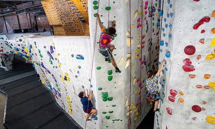 90-Minute Intro to Climbing Class for 3 People - The Stronghold Climbing Gym Los Angeles, CA