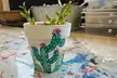 Unleash Creativity with Paint and Plant for One, Two, or Four Guests at Canvas N Cup (Up to 25% Off) - Second Medium