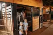 Up to 45% Off on One Hour Farm Visit at Humberstone Ranch - Second Medium