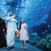 Image 7: Discover & Explore: Dubai Frame w/ Aquarium or IMG Worlds Combo Ticket