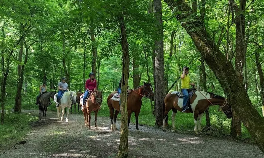 Horse Back Riding Adventure for Up to 4 People