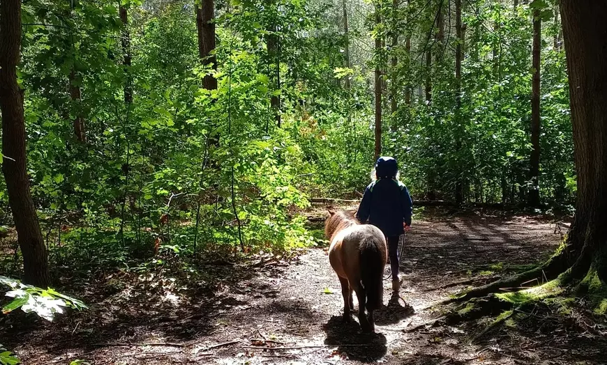 Image 5: Jusqu'à 40% de réduction sur le coaching mental des chevaux