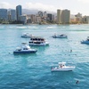 Image 4: Up to 45% Off on Snorkeling at Hawaii Apex Charters