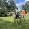 Image 1: Beginner Cowboy/Cowgirl Experience for Groups
