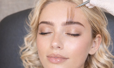 LUXURY Spotted Eyebrow Extensions - Hilenda's Alluring Makeup