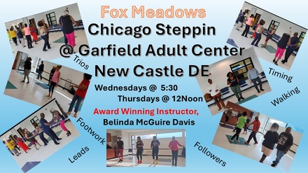 Private Chicago Steppin Classes for Singles and Couples 18 and older - Fox Meadows Steppers LLC
