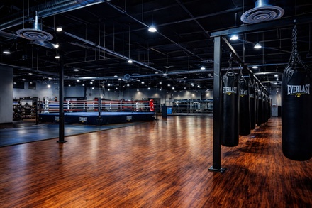 Hammah-Built: Boxing/Kickboxing 5 Private Power Sessions - Mana Kine Boxing