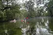 Guided Paddle or Kayak Tour to Breathtaking Cypress Springs; Float, Swim & Nature w/ All Gear & Picnic Lunch Included - Second Medium