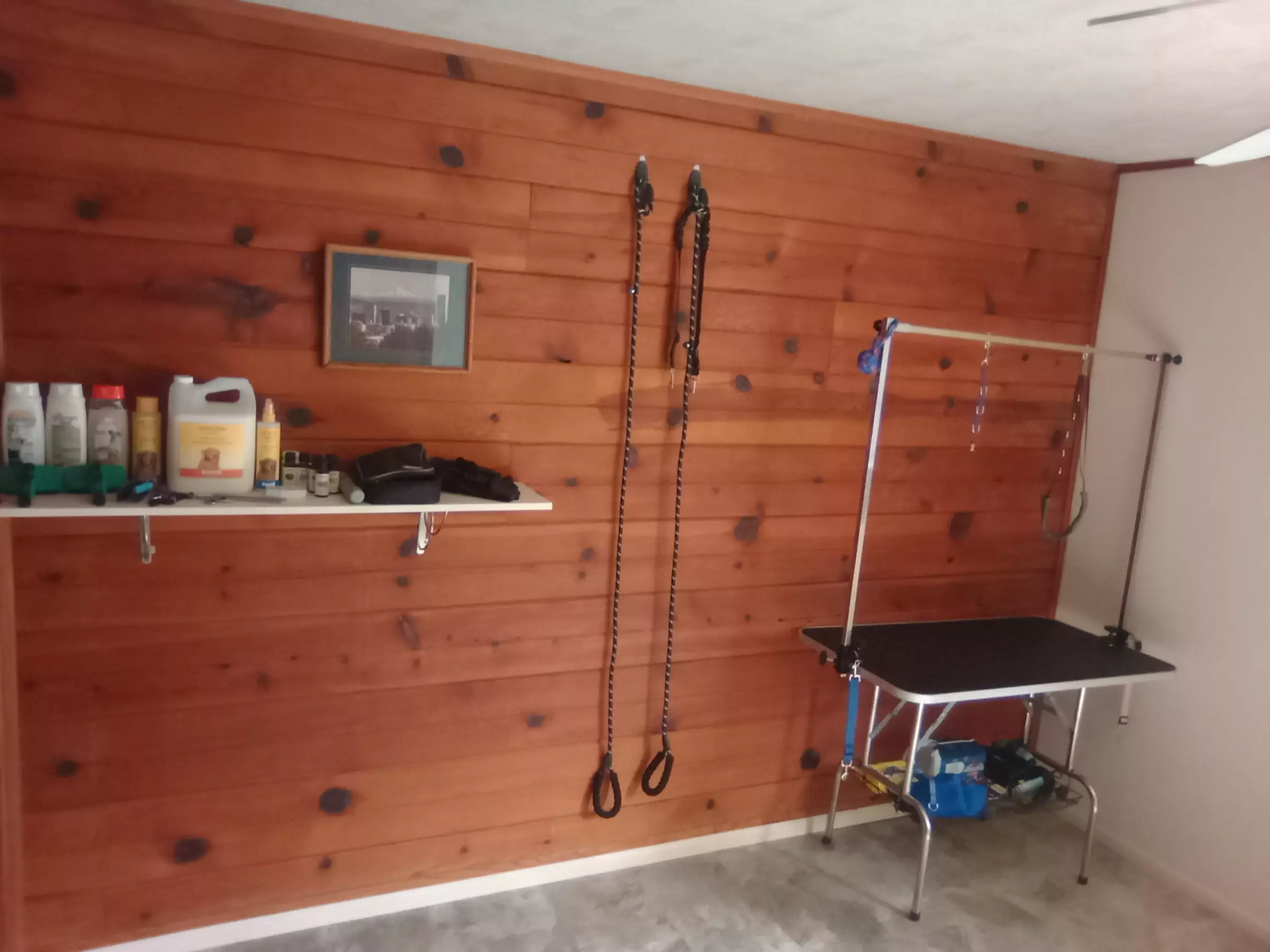 Up to 33% Off on Pet Sitter / Dog Walker at Flowers Quality Grooming & Boarding - Primary Image