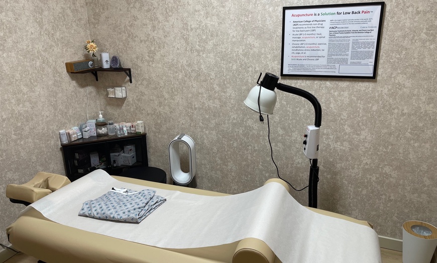 Image 4: Up to 60% Off on Lymphatic Drainage Massage at Reishi Wellness Acupuncture