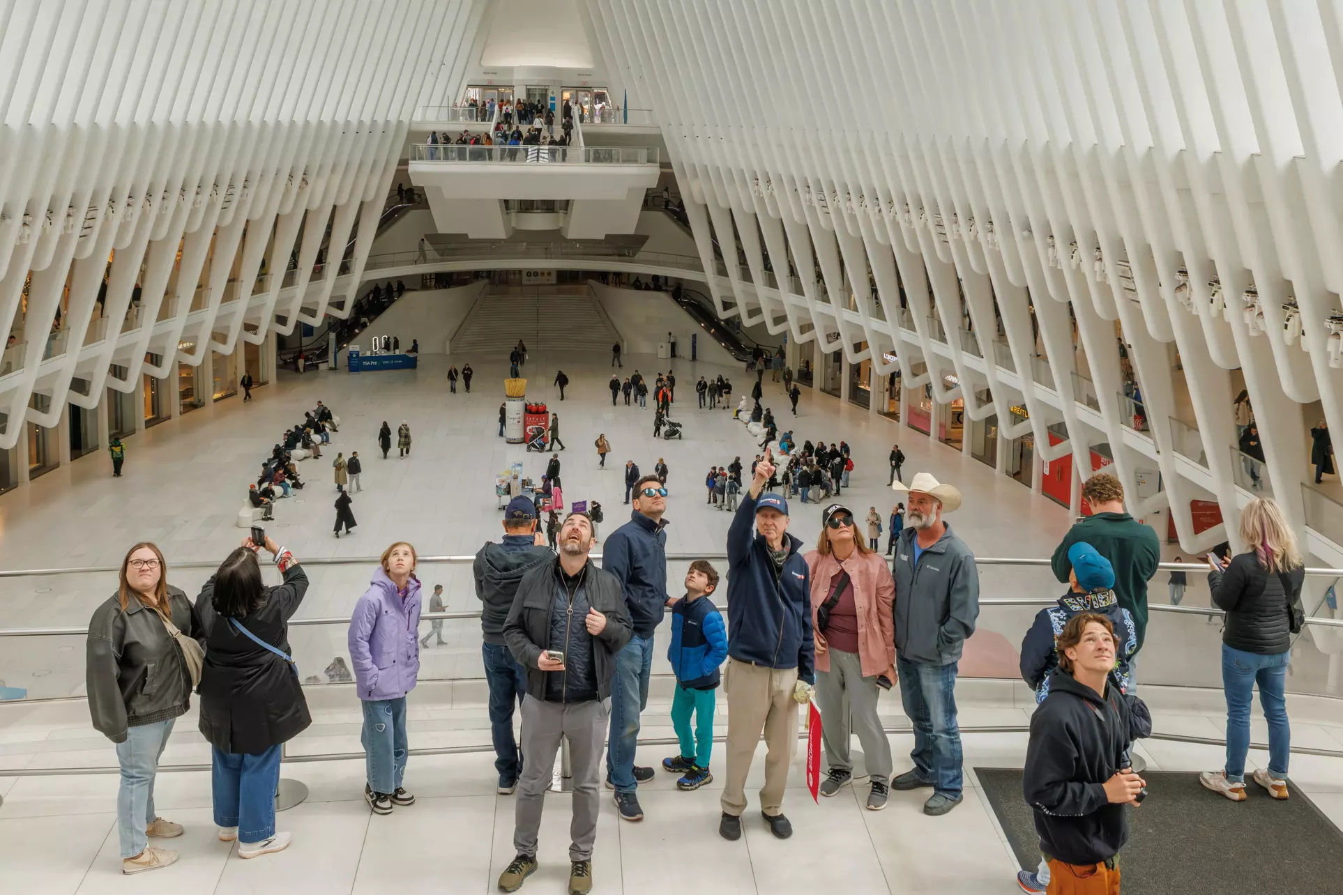 NYC After Dark: 3-Hour/Half-Day Luxury Bus Tour for One, Two, or Three