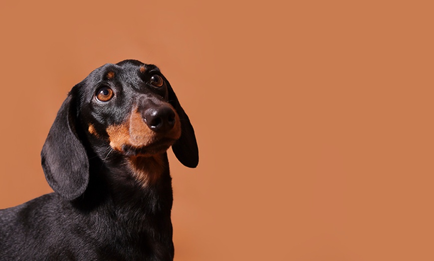 Image 6: Up to 89% Off on Studio Photography at Elkie J Photography