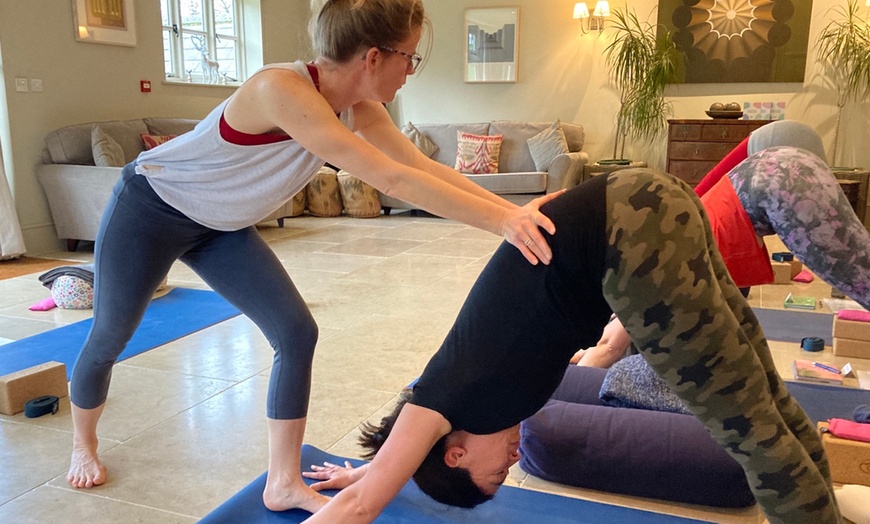 Image 4: Transform w/ 5 Online Private Yoga or First Private Yoga Therapy Class