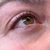 Image 8: One Permanent Eyebrow, Eyeliner or Lip Blushing Tattoo Sessions

