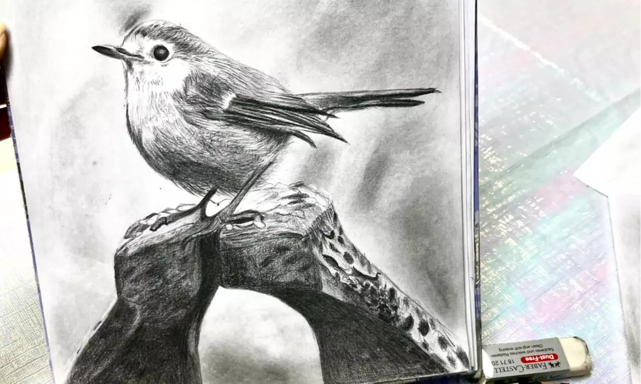 Explore Drawing Techniques with In-Person Classes