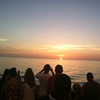 Image 1: 1-Hour and 45-Minute Dolphin Exploration Boat Tour in Clearwater, FL