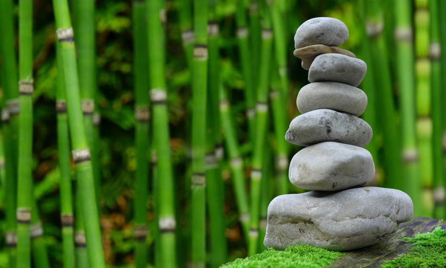 Image 3: Sophrologie en visio ou rééquilibrage avec Elodie Victoire-Mendoza