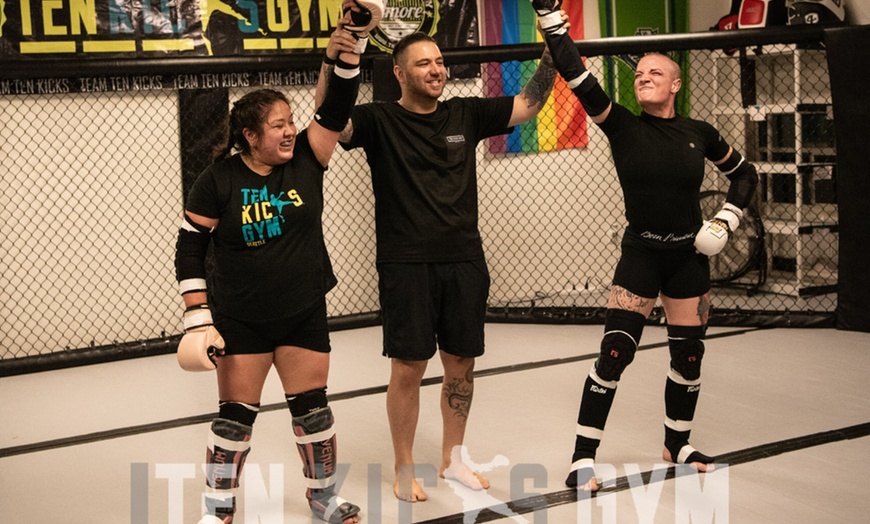 Image 4: Private Group MMA Training for 2 to 20 People 