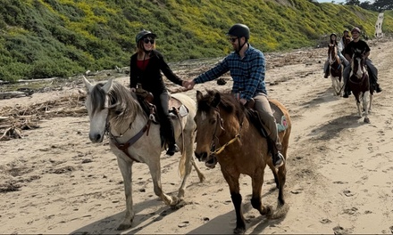 Romantic Couples Horseback Riding 'Walk-On-Beach' Guided Trail Ride for Two People - Horseback Riding Trails
