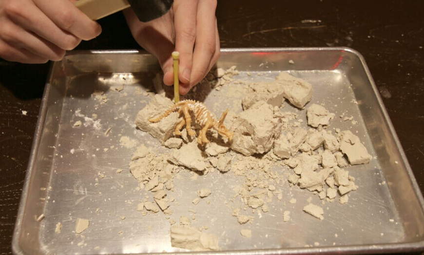 Image 2: Dinosaur Exhibit Deals & Discounts - Pangaea Land of the Dinosaurs