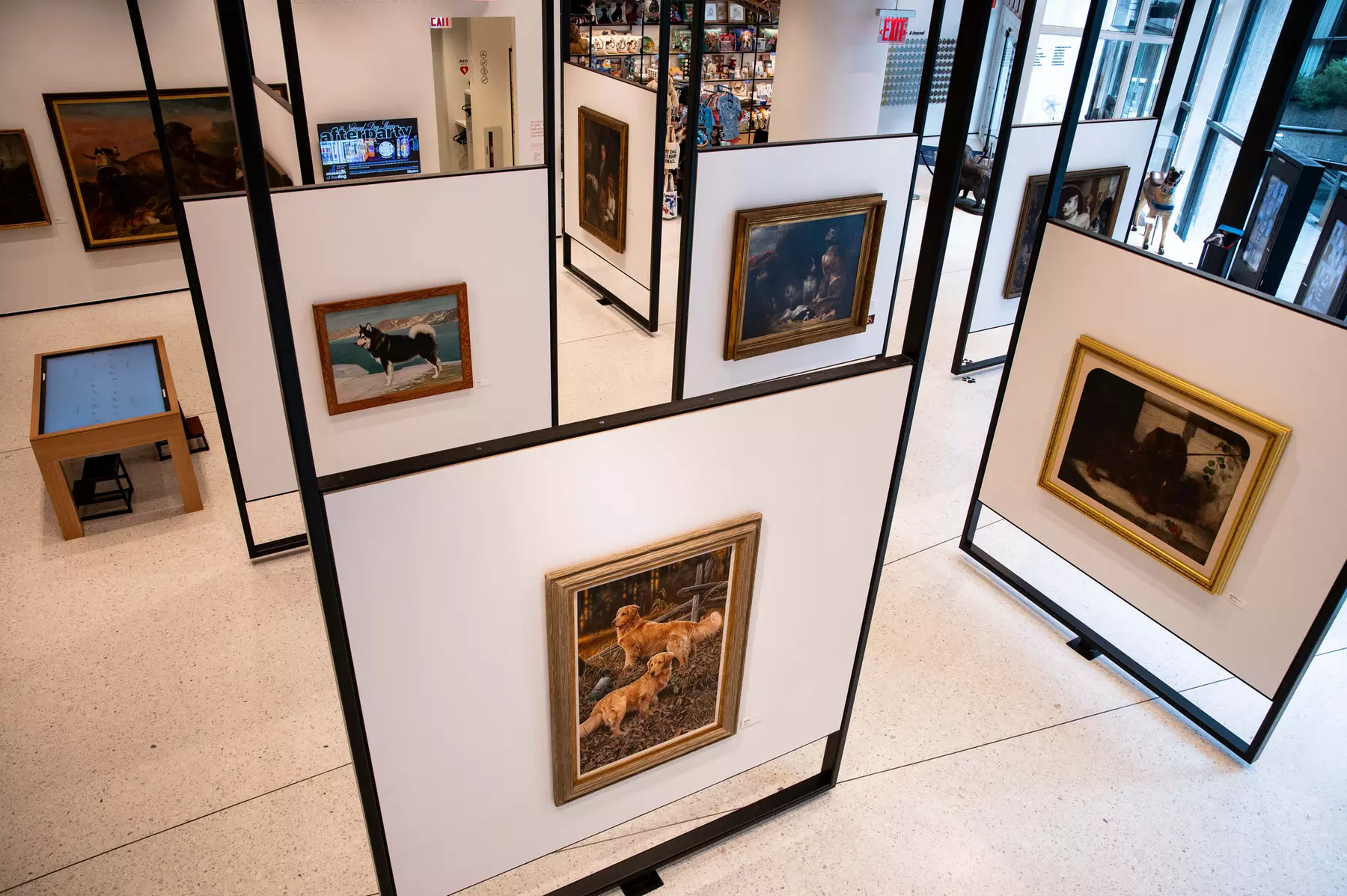 Explore the American Kennel Club Museum of the Dog