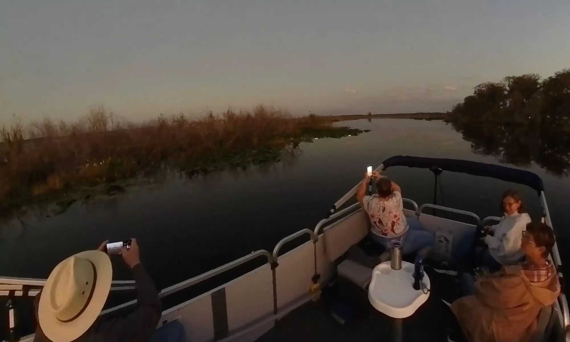 Up to 40% Off on Boat Tour at Shoreline Creatures