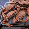 Image 1: Up to 28% Off Blue Crab Trading: Seafood Gift Cards