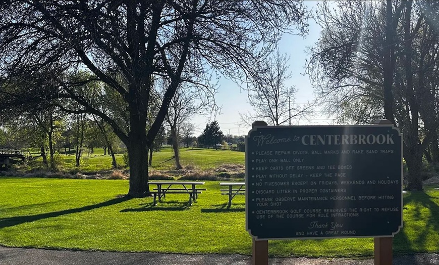 Image 3: 9-Hole Par-3 Golf with Cart – Minneapolis Metro