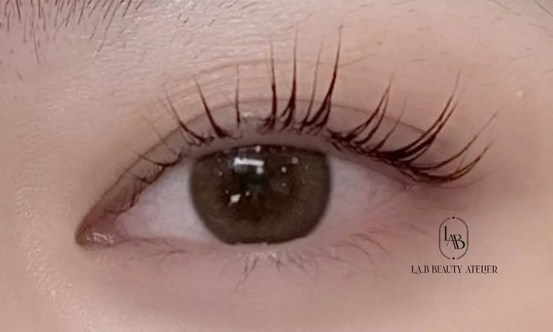 Enhance w/ 1 Eyelash Lift Session &Optional Tint w/ Keratin Treatment