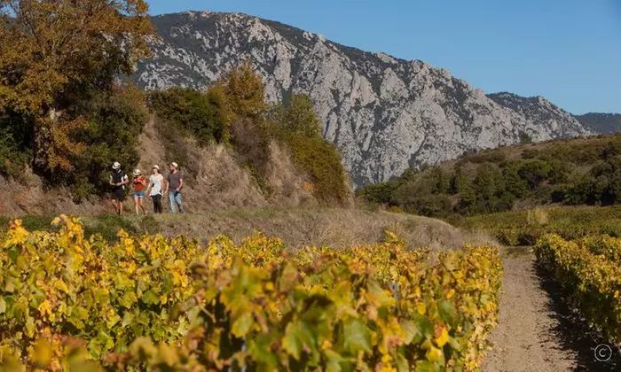 Up to 33% Off on Excursion / Visite - À pied at Vino Enigma