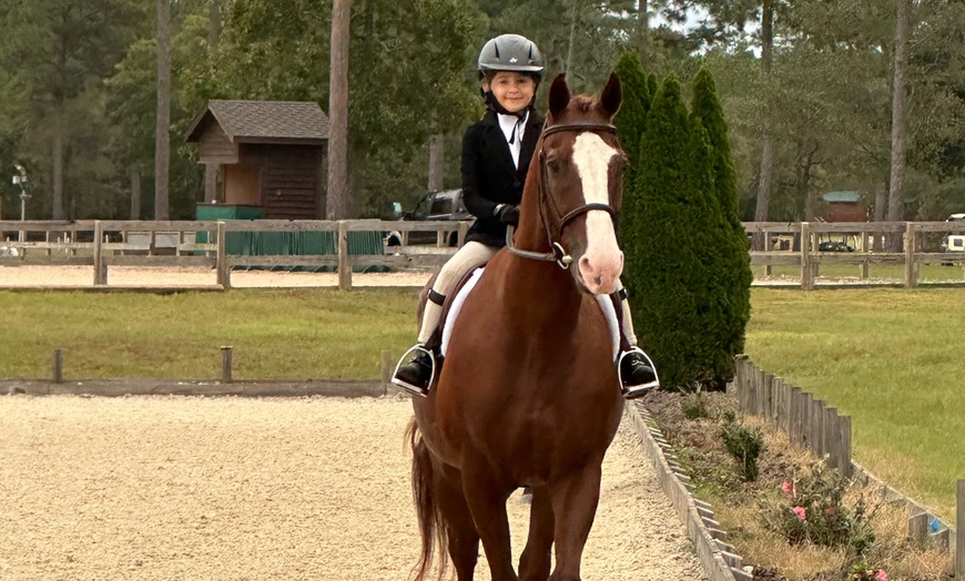 Image 3: Try Horseback Riding with a 30-Minute Intro Lesson