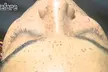 Get Glamorous with a Full Set of Classic, Hybrid/Volume Eyelash Extensions at Modern Radiance(Up to 40% Off) - Second Medium